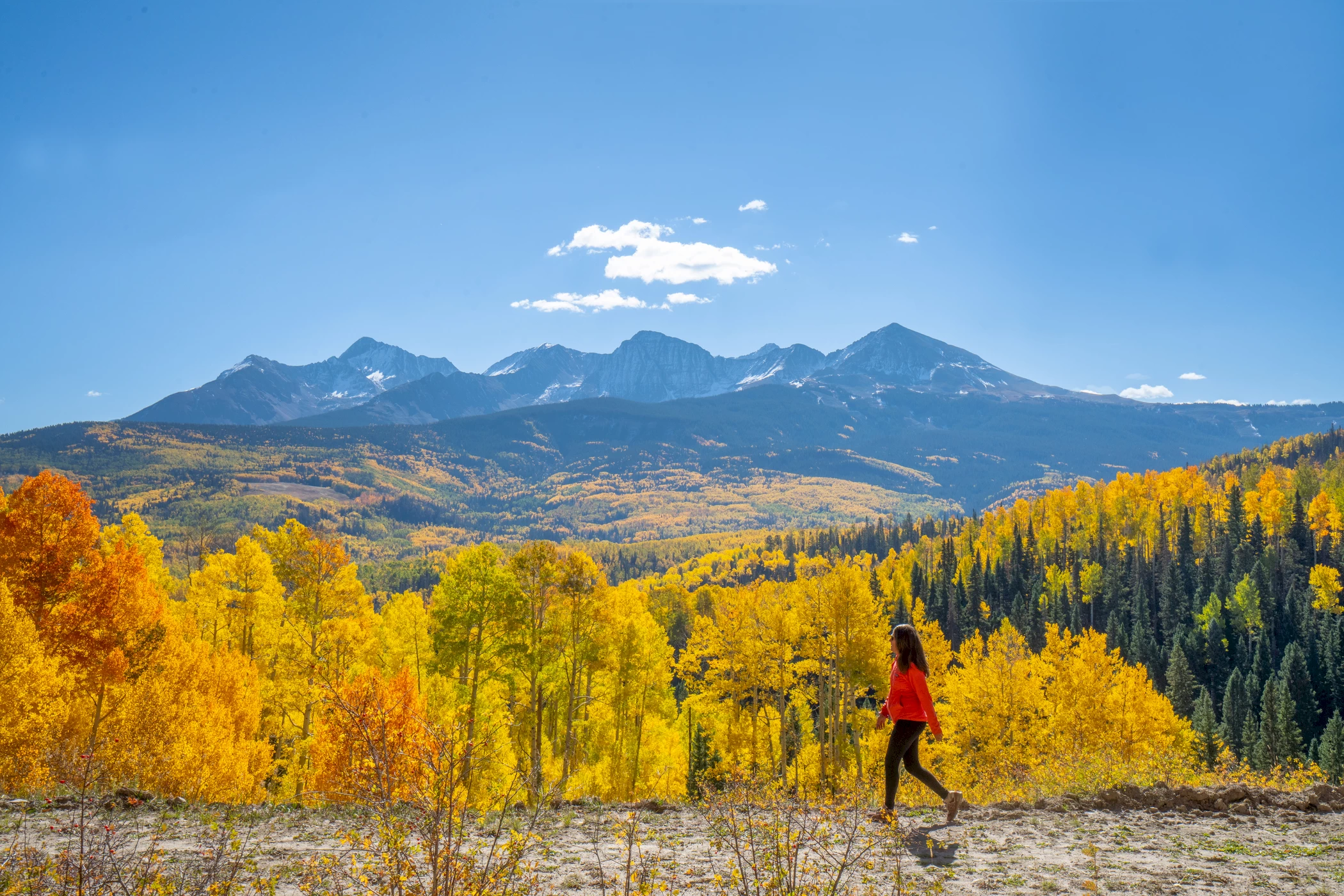 A real photograph of a hiker walking a narrow dirt trail through golden aspen trees near Telluride in early fall, mountains rising in the background