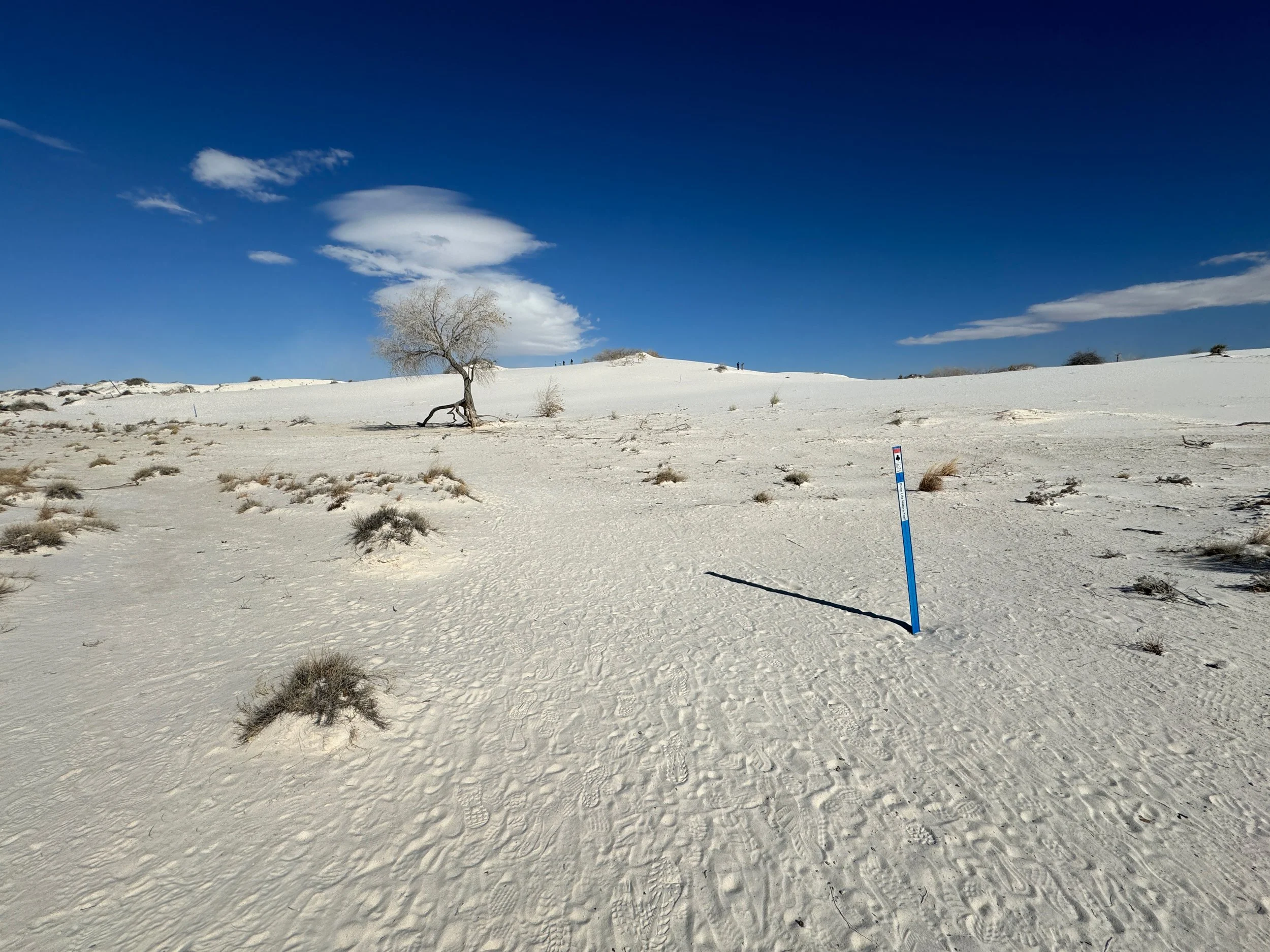 A real photograph of a marked hiking trail through white gypsum dunes with visible trail markers and a clear horizon line in White Sands National Park