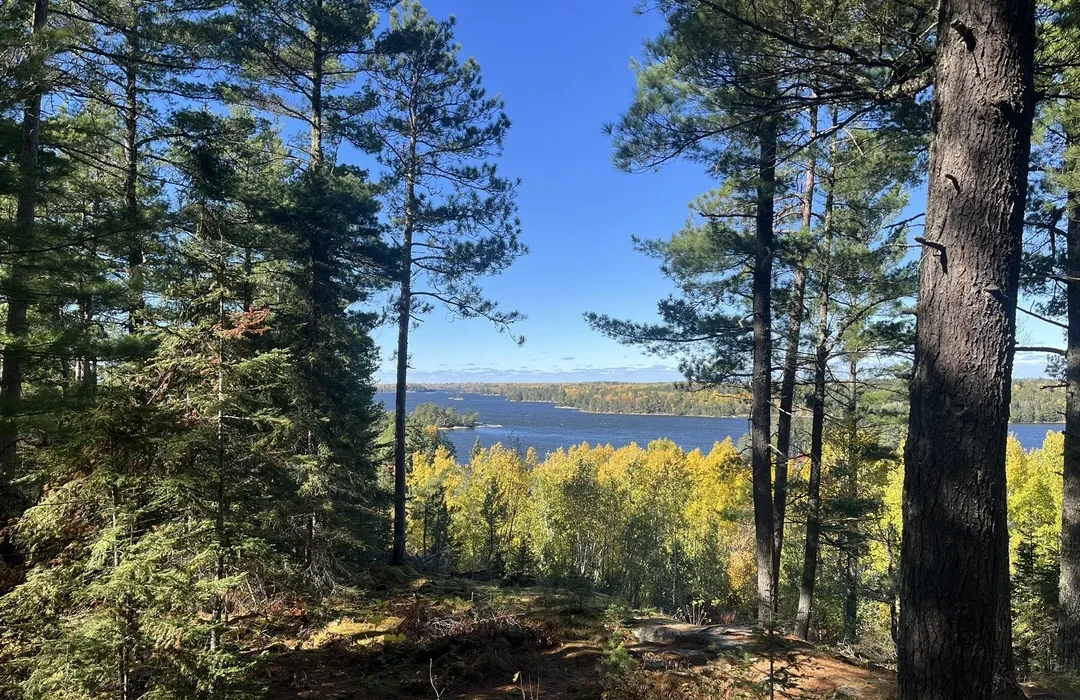 A real photograph of a narrow dirt hiking trail through pine and birch forest near Kabetogama Lake in Voyageurs National Park on a sunny day