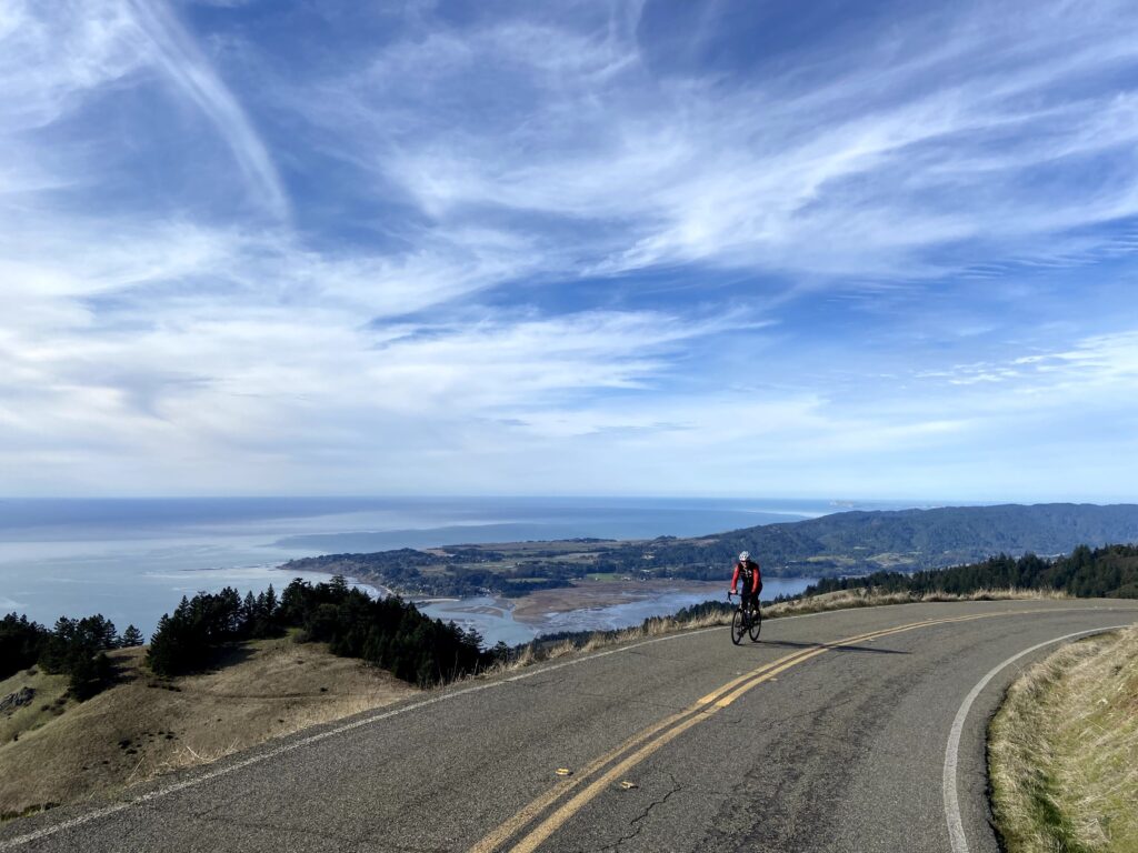 A real photograph of a narrow, winding road in Marin County surrounded by dense greenery and tall trees on an overcast morning