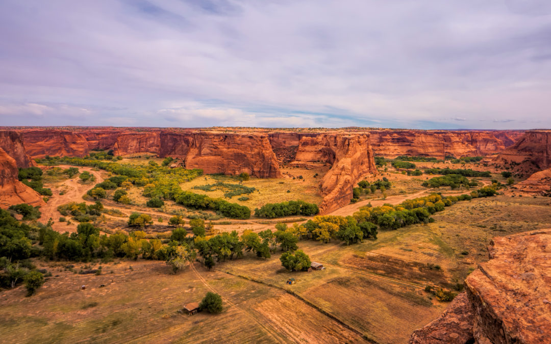 A real photograph of a paved South Rim road at Canyon de Chelly with a small overlook pullout, low desert shrubs, and distant canyon walls under a bright sky