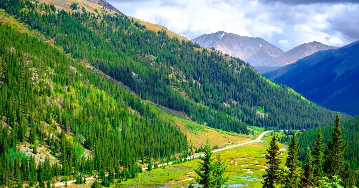 A real photograph of a person standing at an Independence Pass overlook with rugged alpine peaks and a winding road visible below
