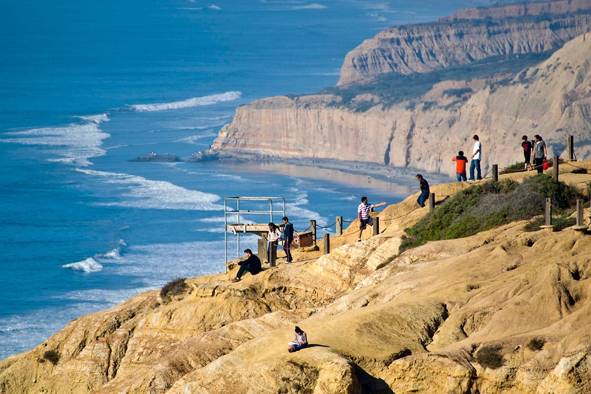 A real photograph of a sandy trail at Torrey Pines State Natural Reserve in San Diego, with wind-shaped pines and the Pacific Ocean visible beyond the cliffs