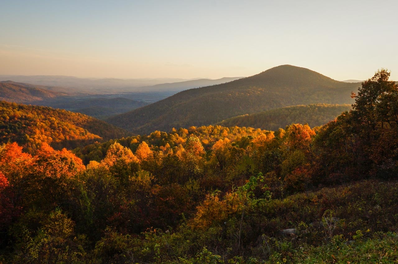 A real photograph of a wide mountain overlook along Skyline Drive in Shenandoah National Park, with layered blue ridgelines fading into the distance and early autumn trees in the foreground
