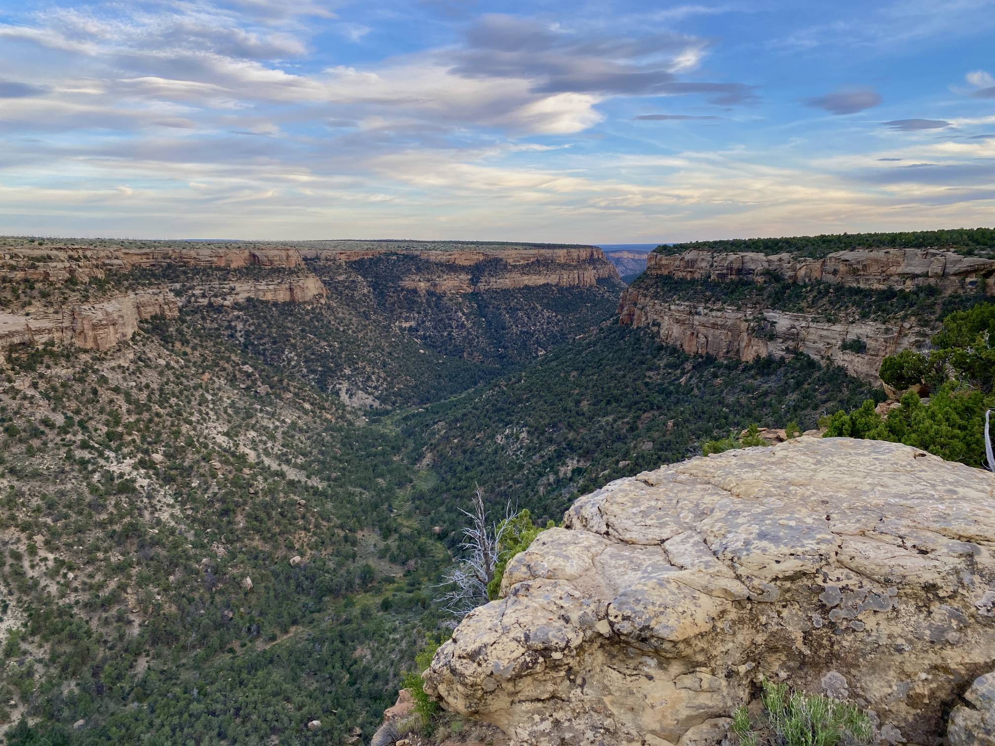 A real photograph of a winding paved road on the mesa in Mesa Verde National Park with a wide canyon overlook and pinyon-juniper trees under a bright blue sky