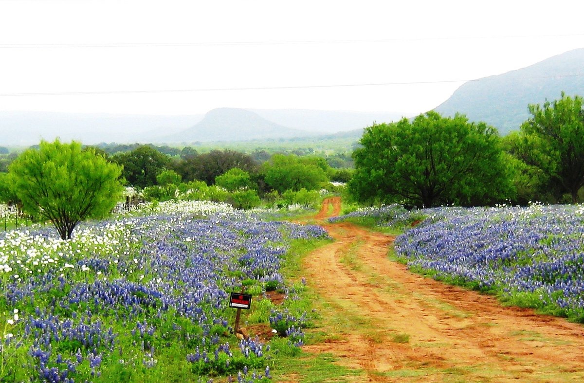 A real photograph of a winding two-lane ranch road on the Willow City Loop in Texas Hill Country, with oak trees, granite boulders, and a wide open sky