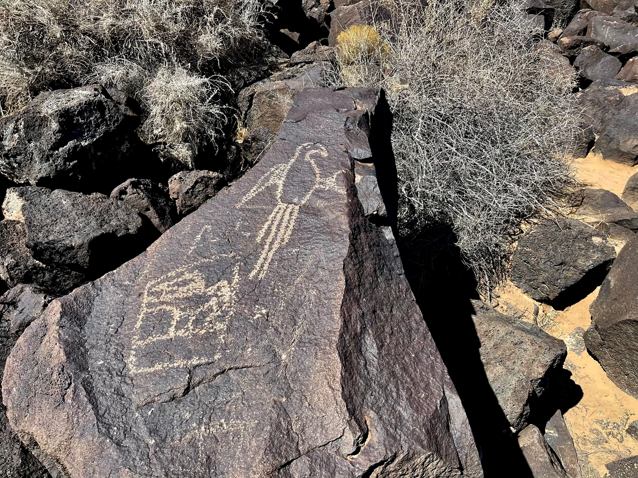 A real photograph of dark volcanic boulders at Boca Negra Canyon in Petroglyph National Monument with visible petroglyph carvings on a rock face in morning light