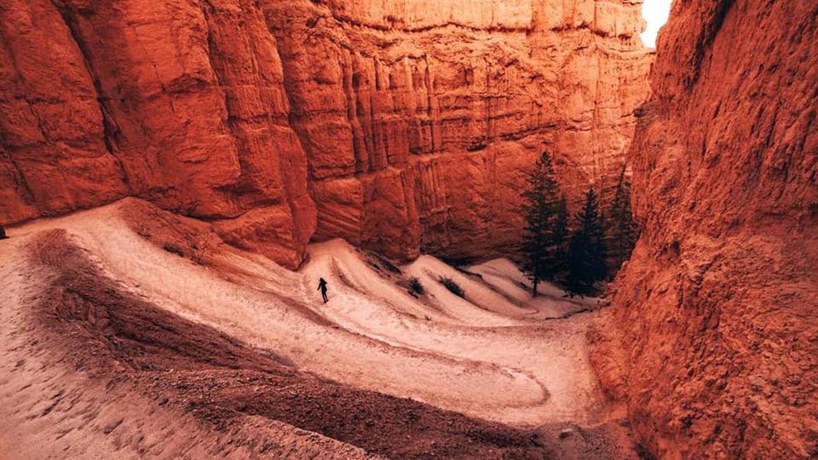 A real photograph of hikers descending the Navajo Loop Trail in Bryce Canyon on steep red switchbacks between tall orange hoodoos
