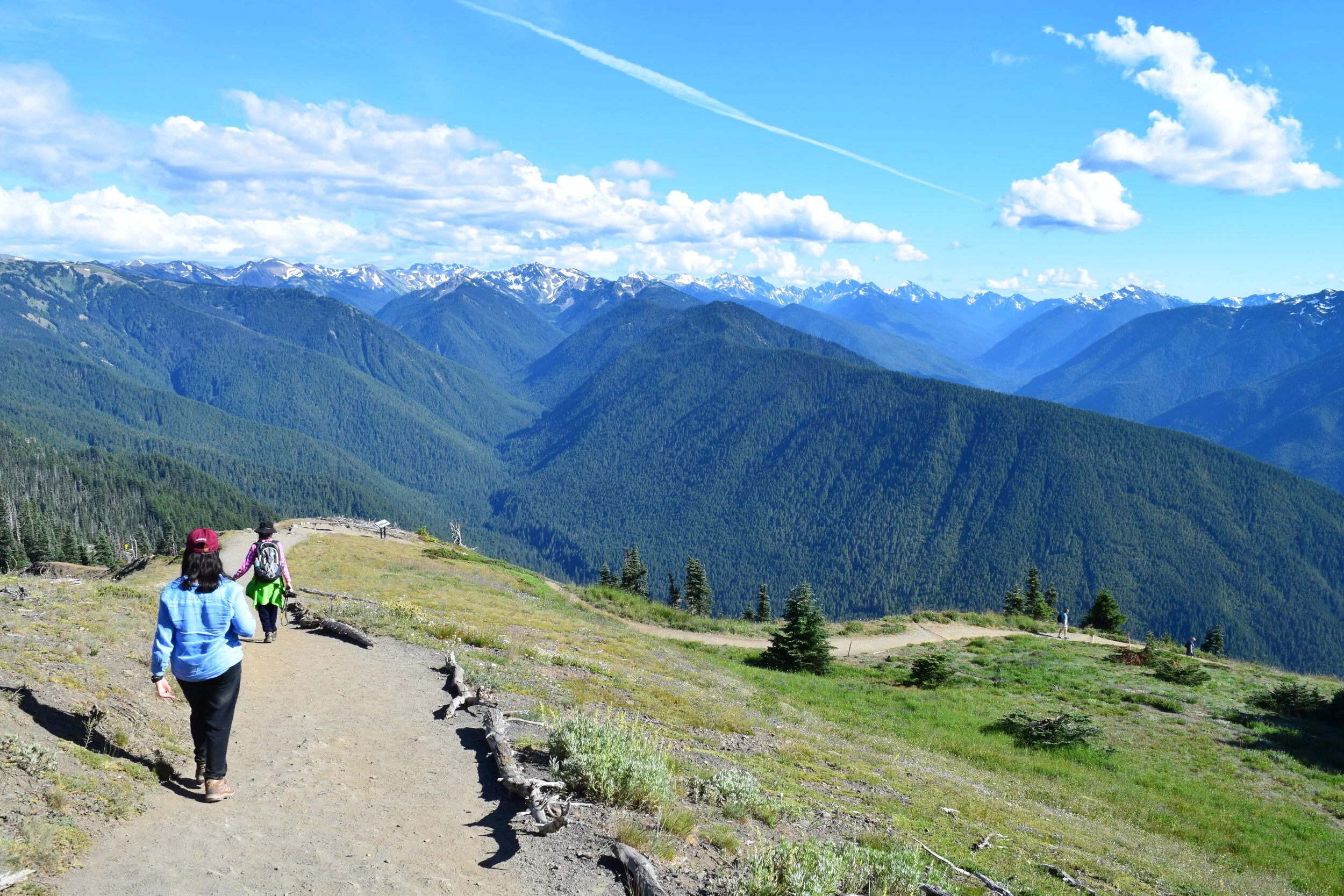 A real photograph of hikers walking a paved or hard-packed trail at Hurricane Ridge, with subalpine meadow plants along the path and Olympic Mountains in the background