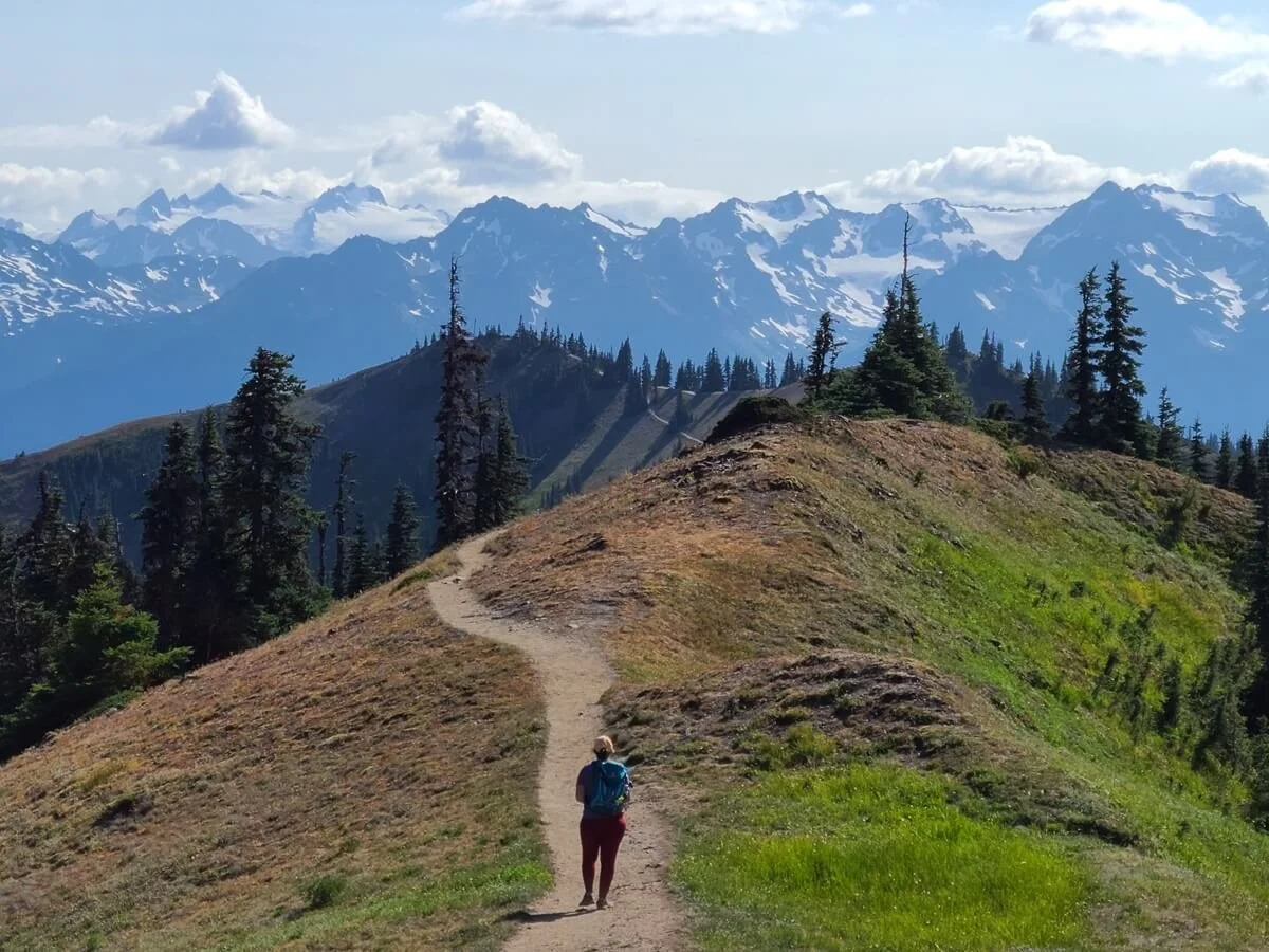 A real photograph of hikers walking on a mountain trail near Hurricane Ridge in Olympic National Park with expansive views of Olympic peaks, open meadows, and bright natural light, realistic travel photography