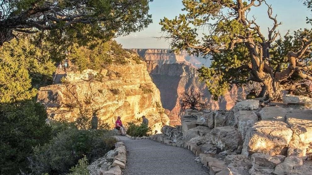 A real photograph of hikers walking on the Bright Angel Point Trail on the Grand Canyon North Rim, with layered canyon walls glowing in late afternoon light and pine trees framing the viewpoint
