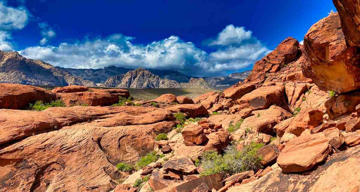 A real photograph of hikers walking on the Calico Hills trail in Red Rock Canyon, with tan and red sandstone ridges and sparse desert plants under a clear blue sky