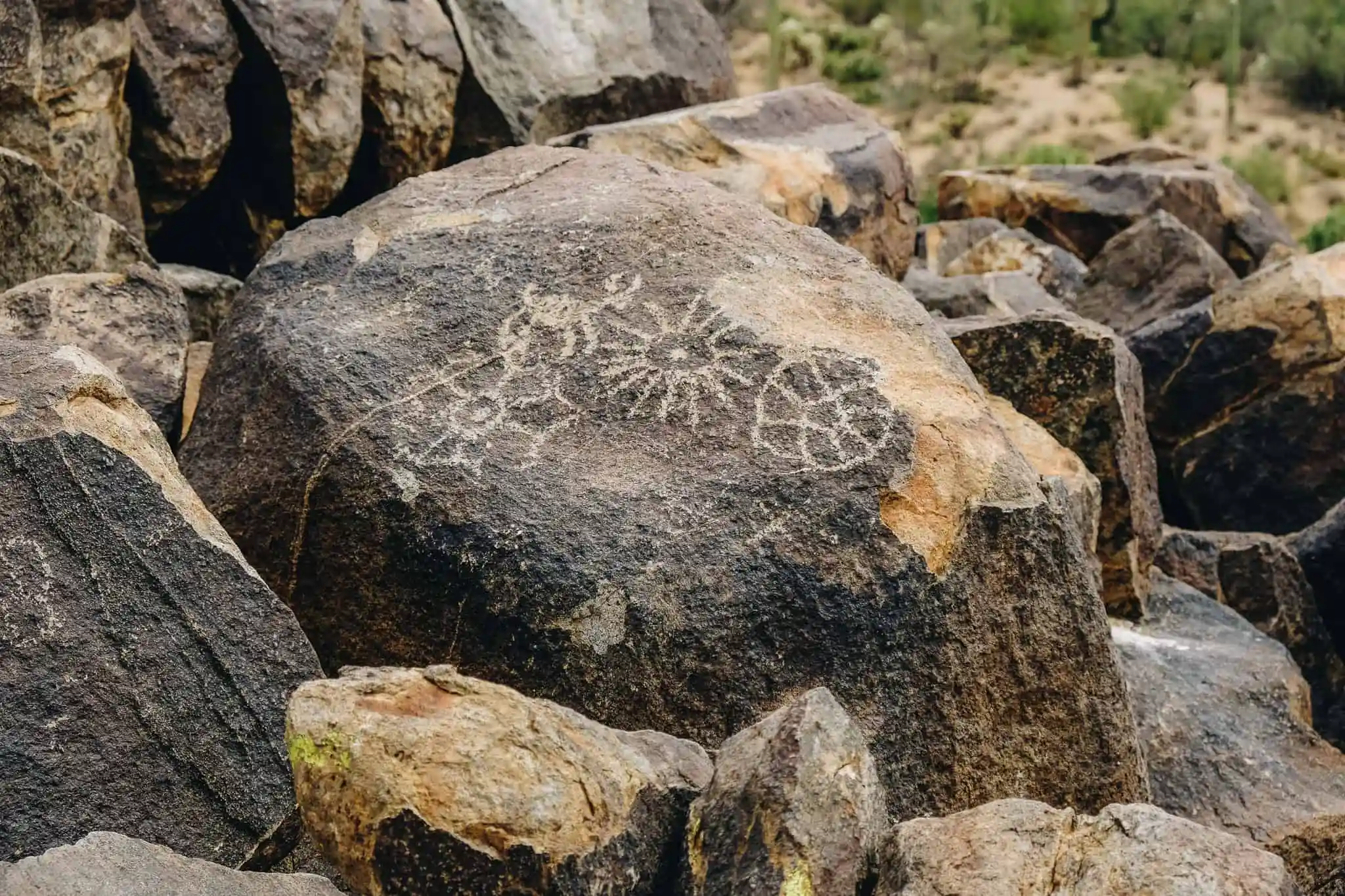 A real photograph of petroglyphs carved into dark volcanic rock beside the Signal Hill Trail in Saguaro National Park West