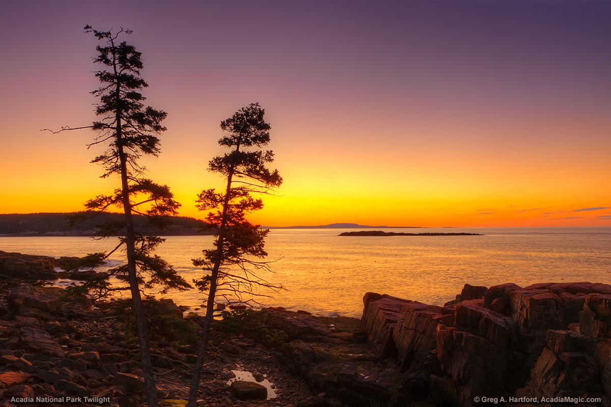 A real photograph of sunrise light hitting the rocky coastline along Acadia National Park's Ocean Path, with waves breaking below and a few walkers on the path