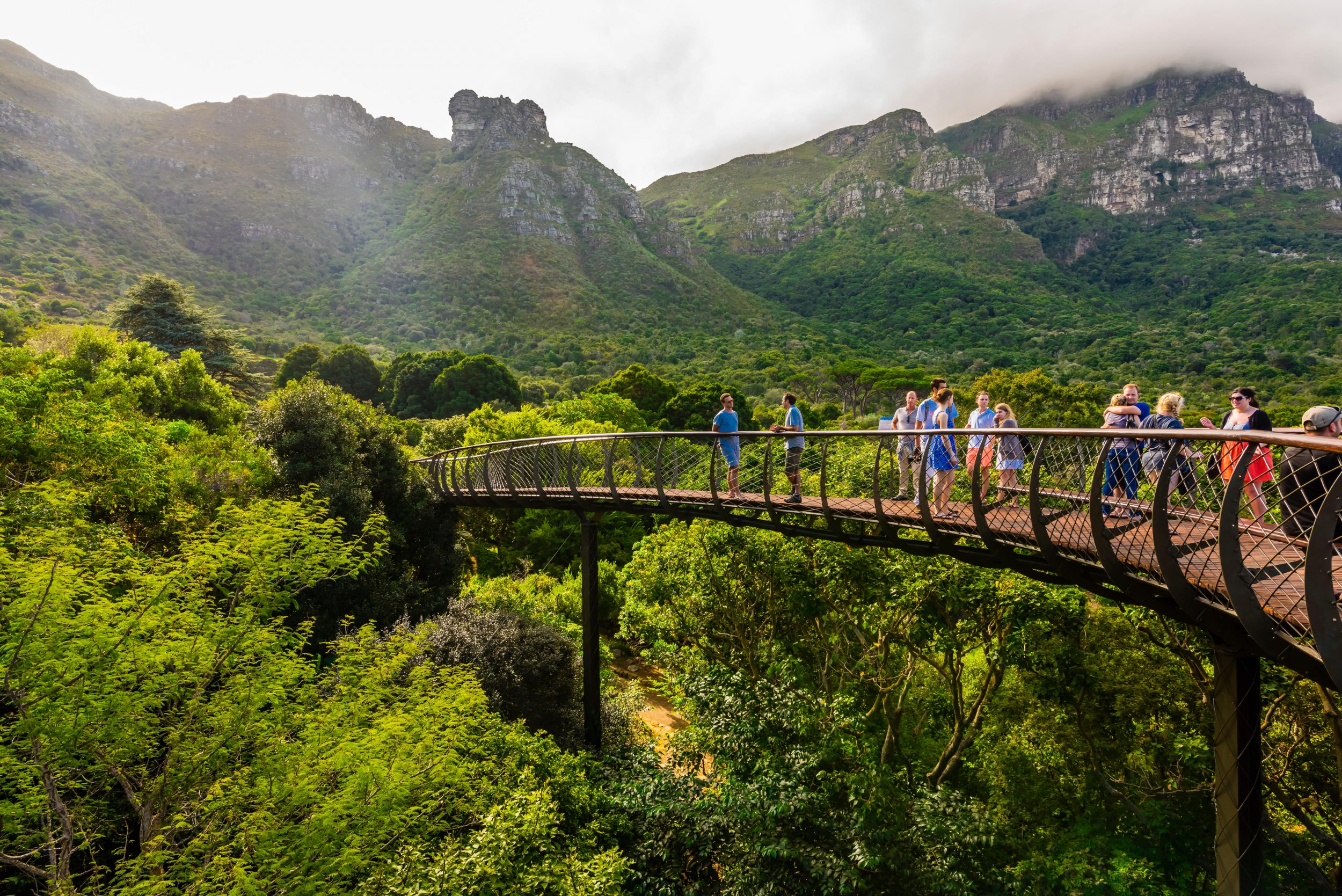 A real photograph of the Boomslang canopy walkway in Kirstenbosch Botanical Garden, with visitors walking along the curved elevated path surrounded by trees and mountain slopes