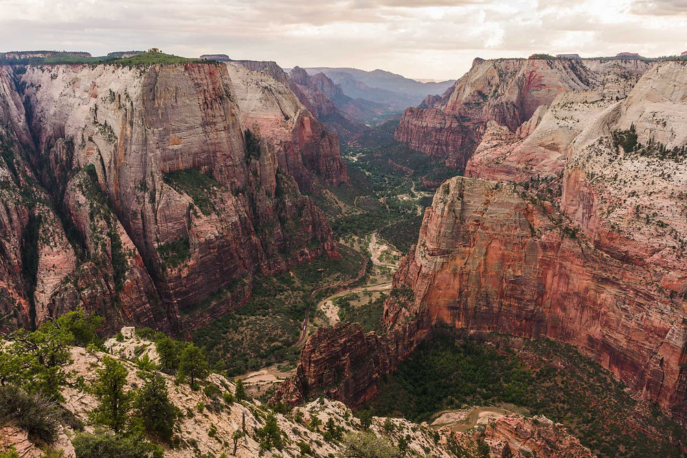 A real photograph of the East Mesa Trail in Zion, a sandy path winding through ponderosa pines and low shrubs under a bright blue sky