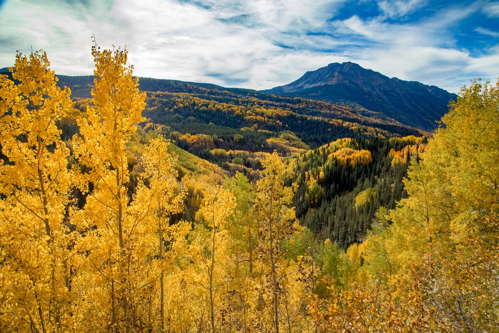 A real photograph of the High Road to Taos winding through piñon and juniper with golden aspens on the hillside and distant Sangre de Cristo Mountains under clear blue sky