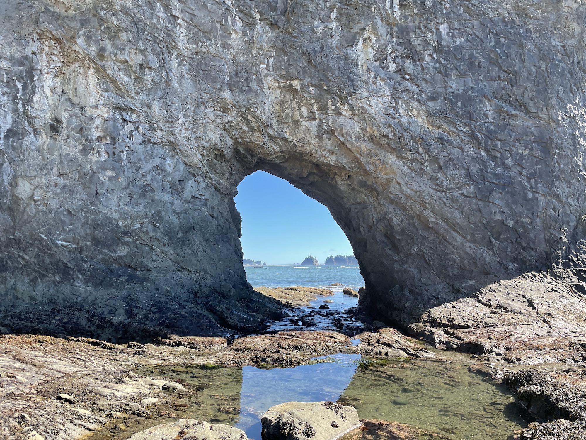 A real photograph of the Hole-in-the-Wall sea arch at Rialto Beach during low tide with exposed rocks and shallow tide pools in the foreground