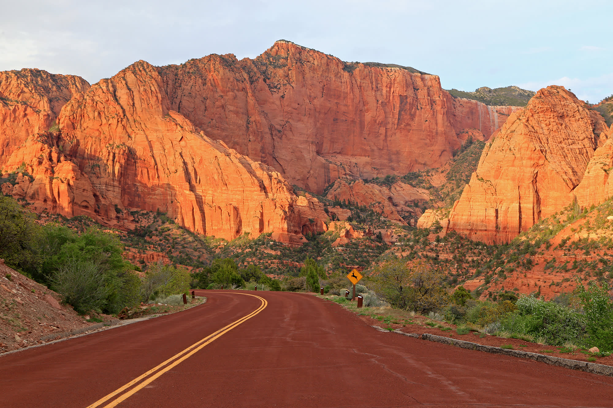 A real photograph of the Kolob Canyons scenic drive overlook in Zion National Park, with layered red sandstone cliffs and pinyon-juniper trees under clear daylight
