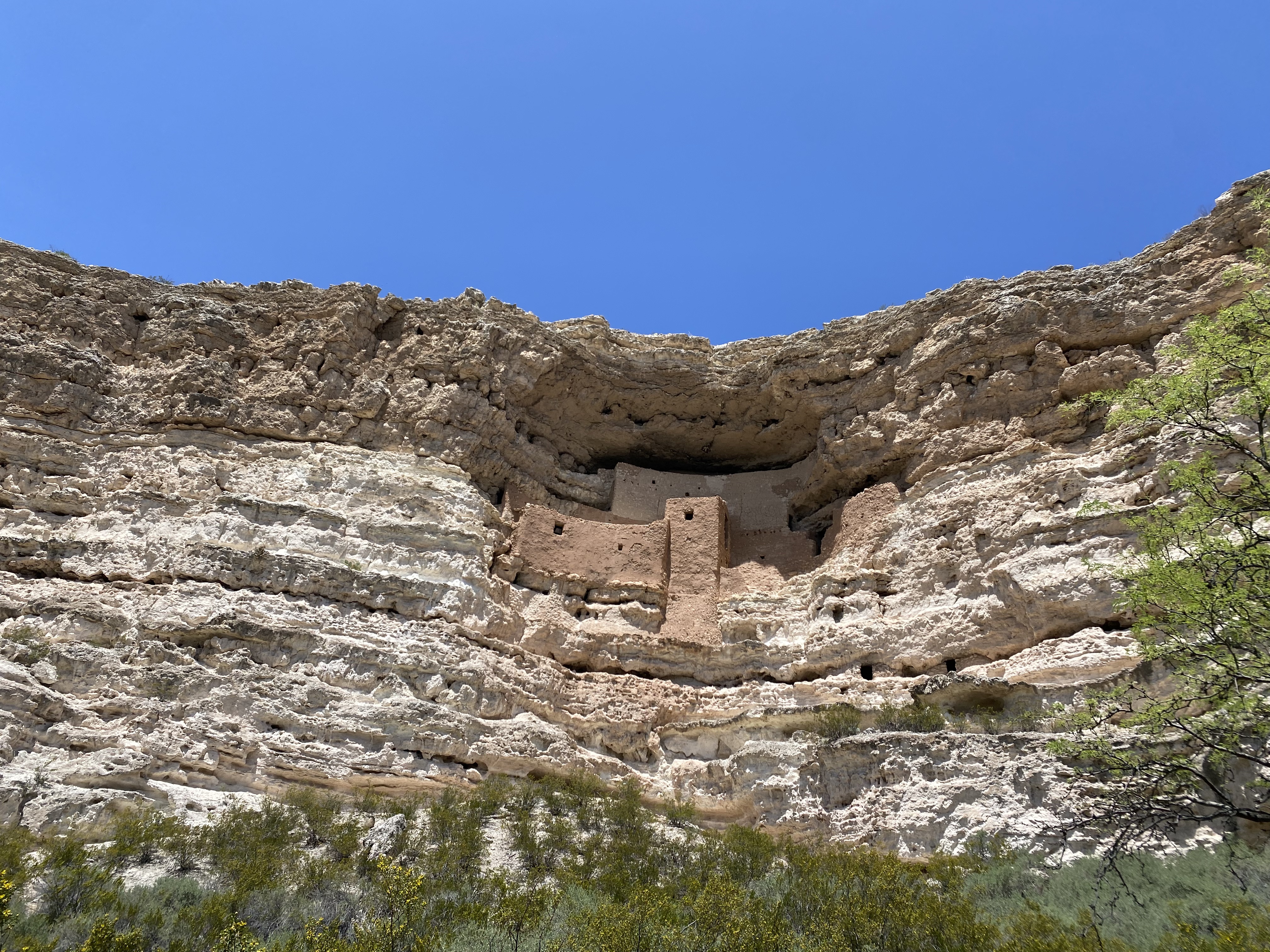 A real photograph of the Montezuma Castle cliff dwelling built into a pale limestone alcove above green sycamore trees under a bright Arizona sky