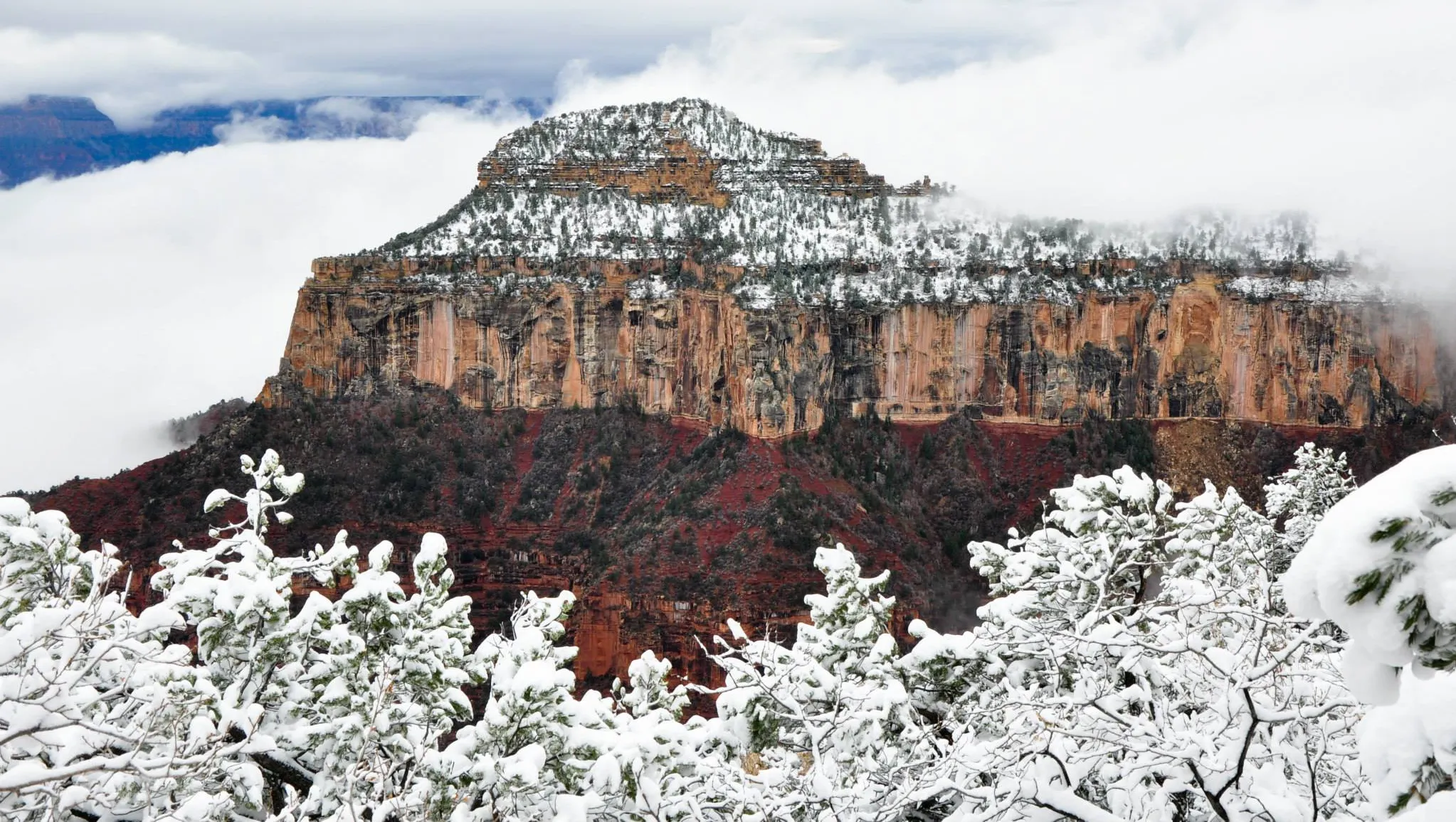 A real photograph of the North Rim access road lined with tall pines and lingering spring snow patches under a bright blue sky