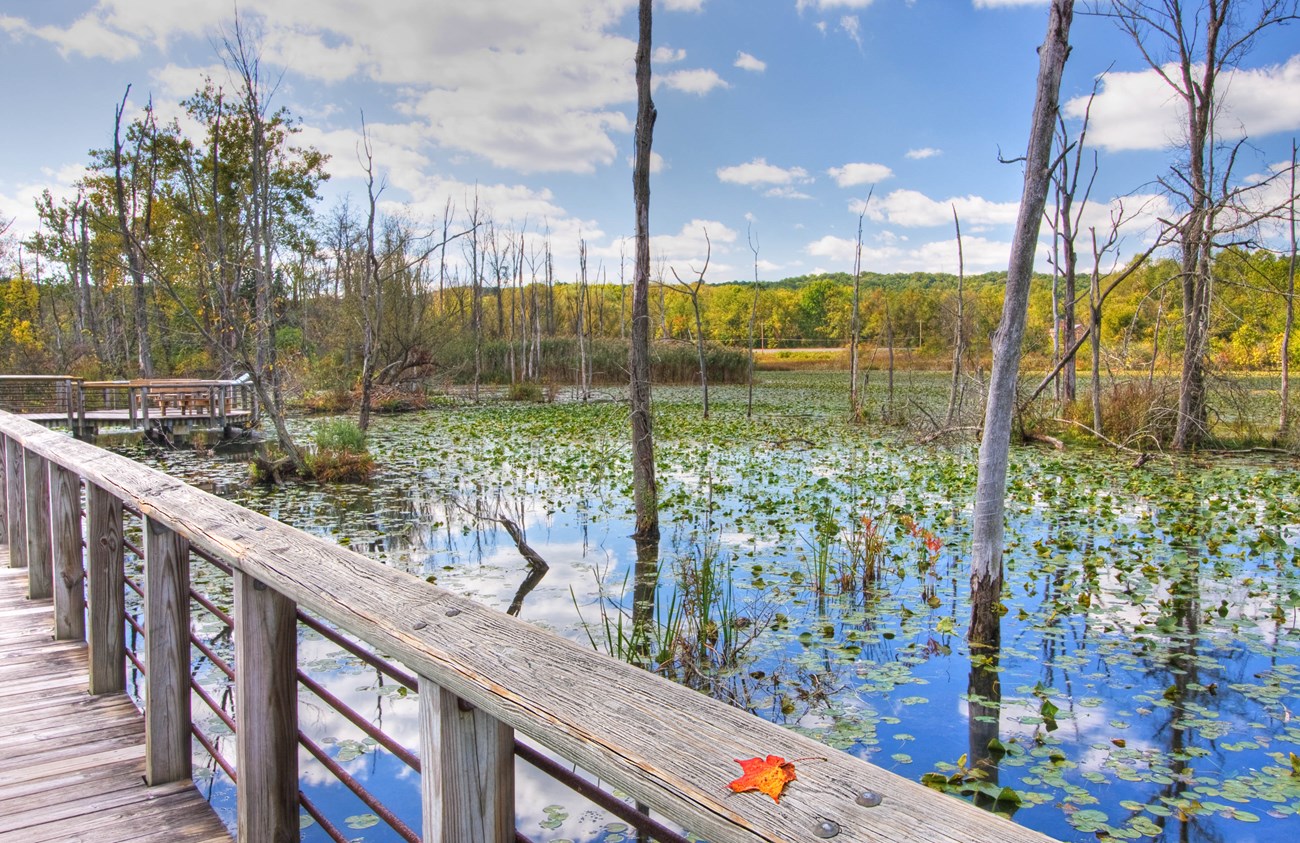 A real photograph of the Ohio and Erie Canal Towpath beside Beaver Marsh, with calm water reflecting reeds and trees and a cyclist riding past