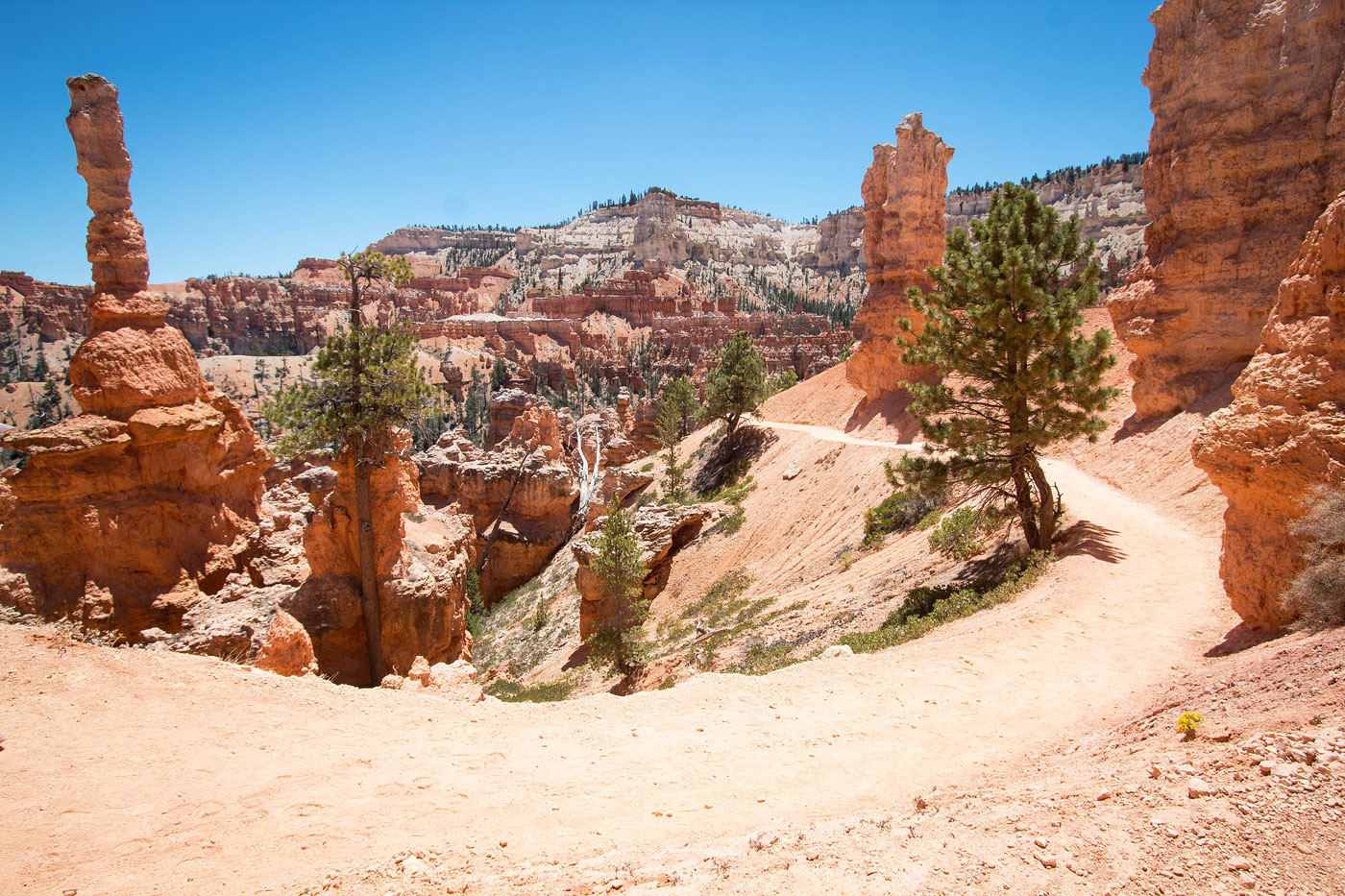 A real photograph of the Peek-a-Boo Loop Trail in Bryce Canyon with a narrow path curving between tall red-orange hoodoos and scattered pine trees
