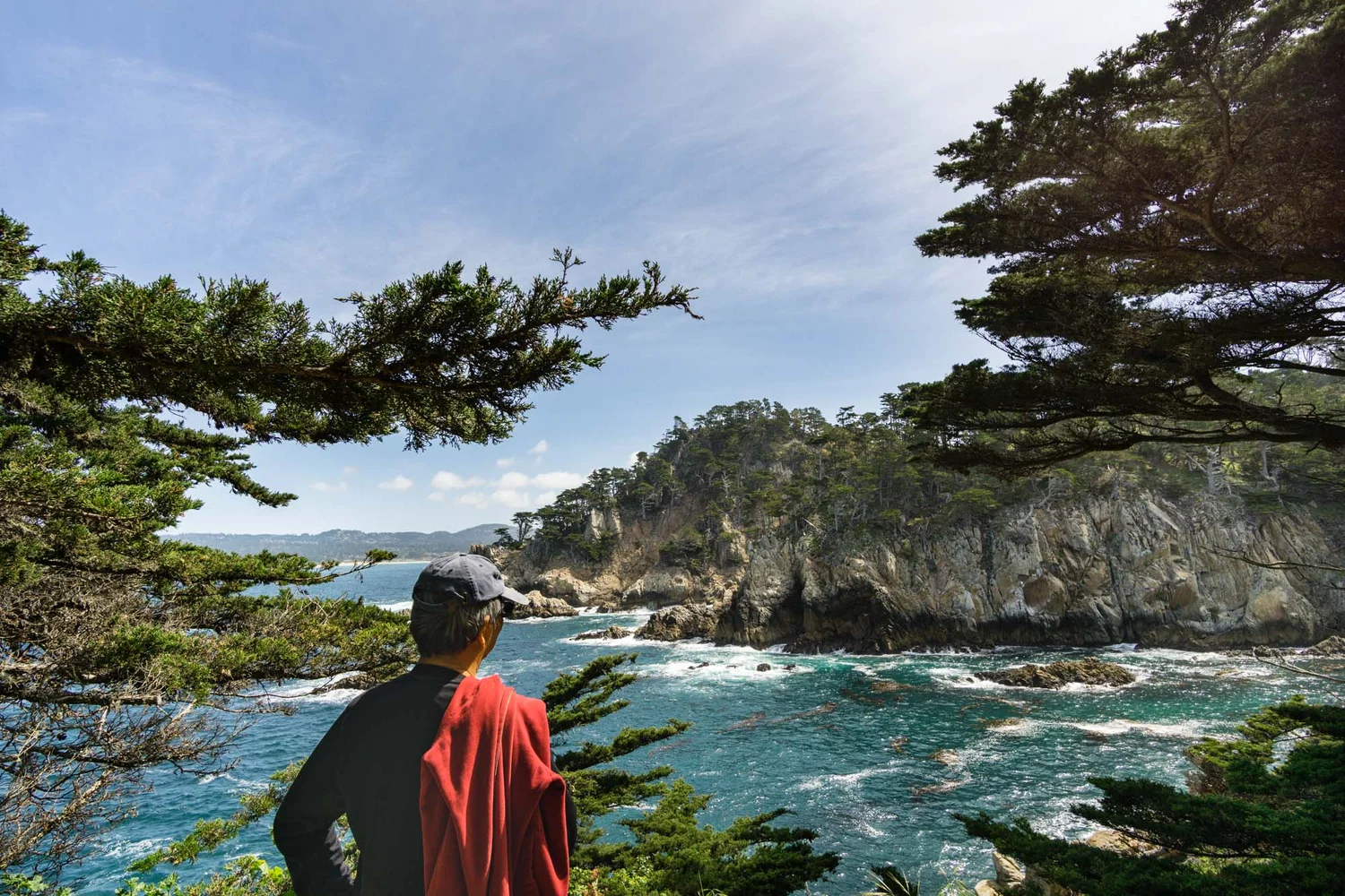 A real photograph of the Point Lobos Cypress Grove Trail with twisted cypress trees framing a rocky Pacific coastline and a narrow dirt path
