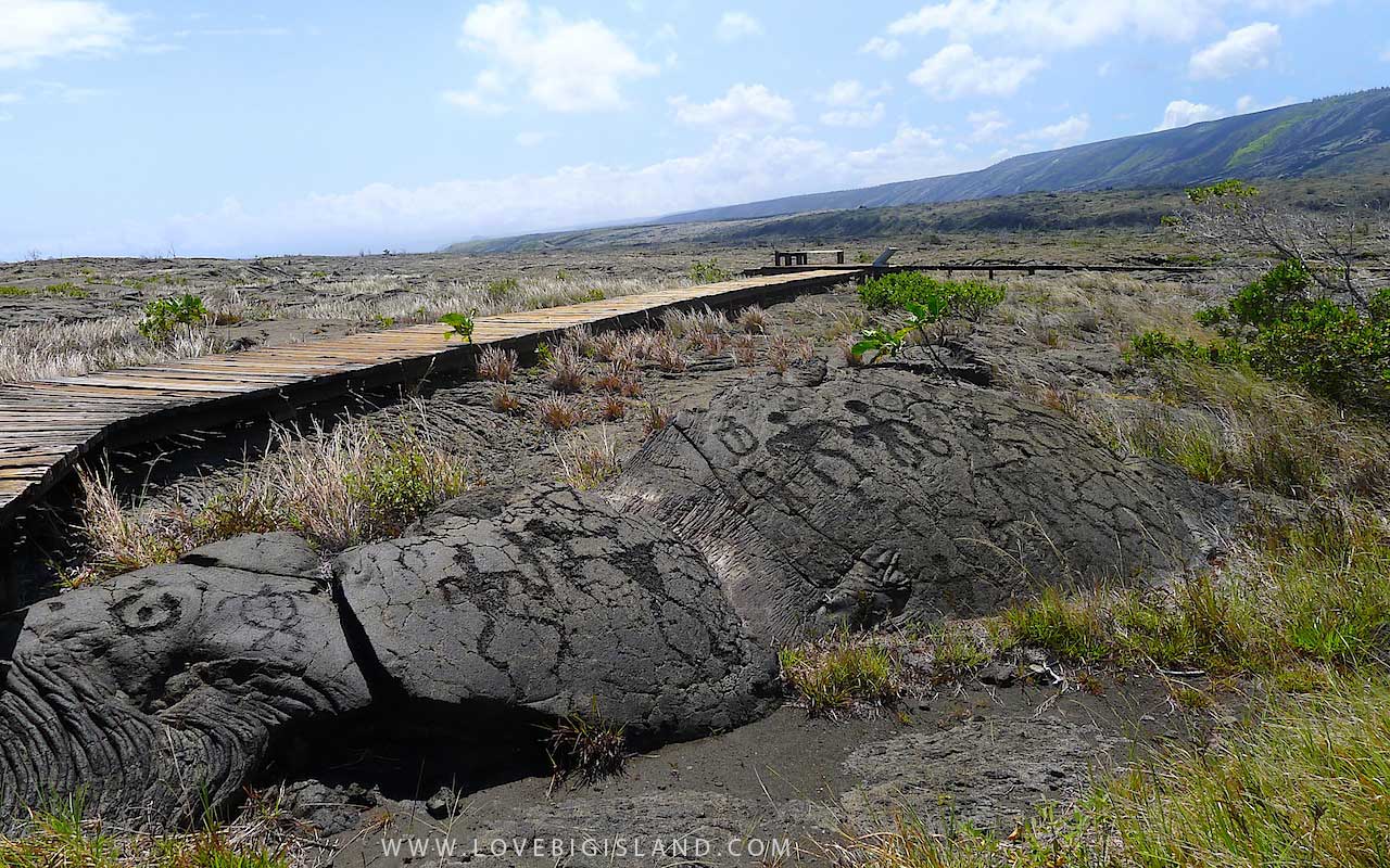 A real photograph of the Puʻuloa petroglyph field in Hawaiʻi Volcanoes National Park, showing etched carvings on dark lava rock with a low boardwalk under bright daylight