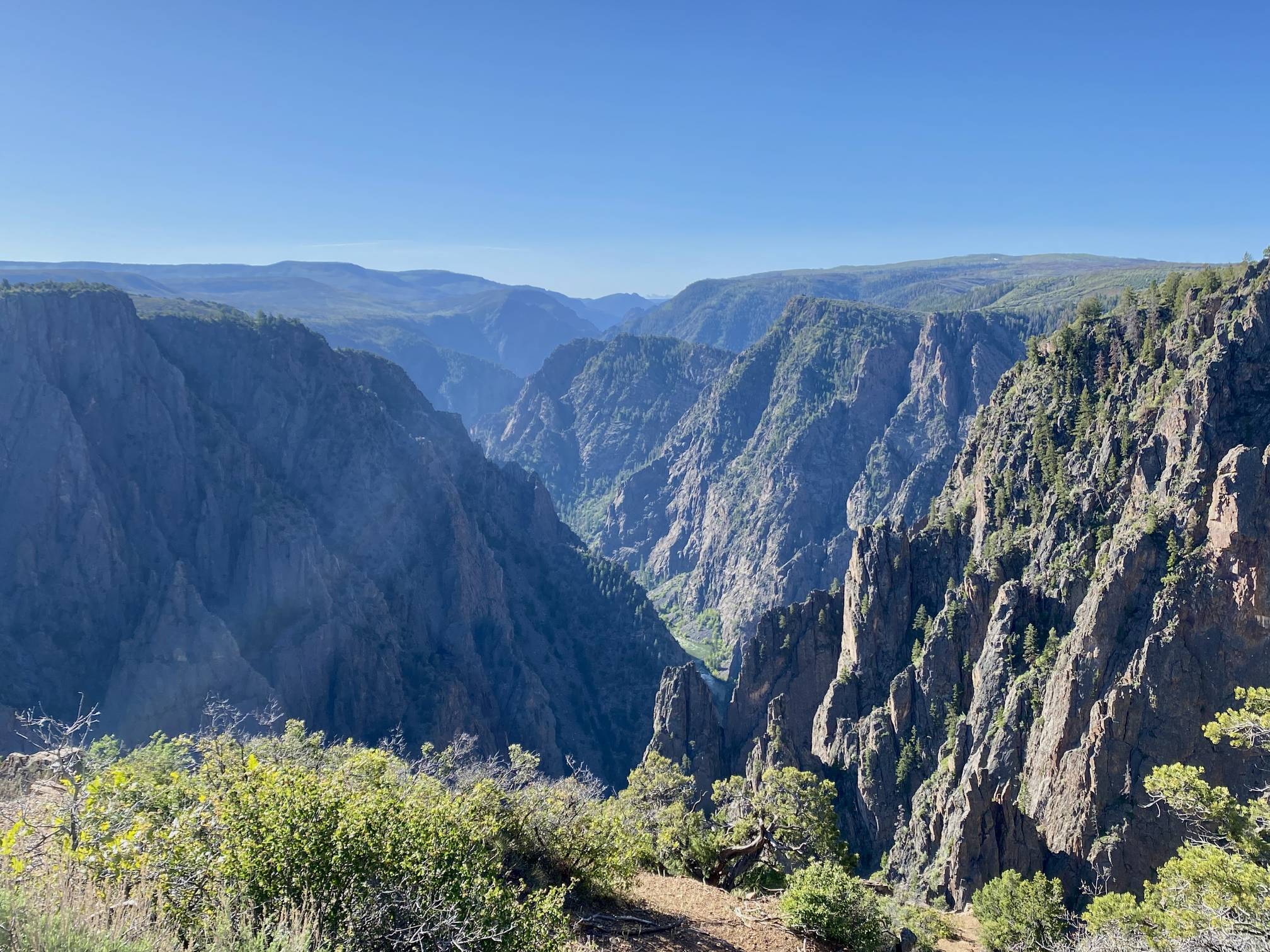 A real photograph of the Rim Rock Nature Trail on the South Rim, showing a narrow dirt path curving through pinyon pine and juniper with canyon rim rocks nearby