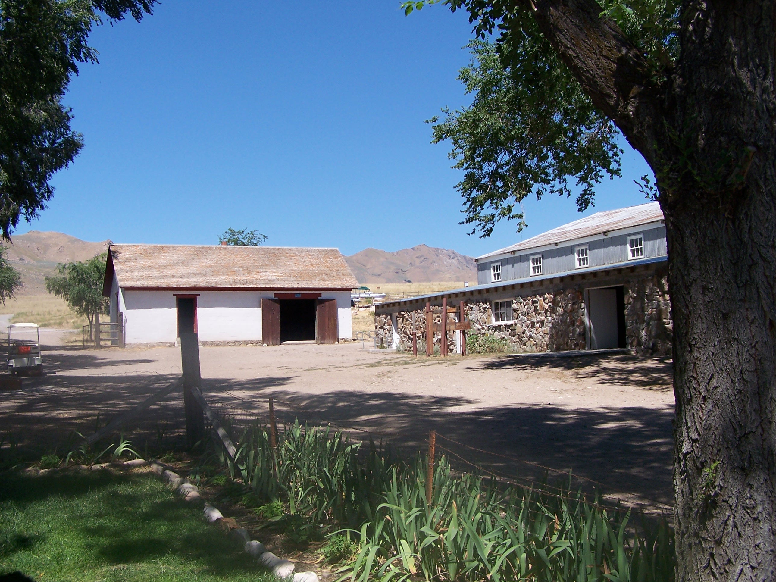 A real photograph of the historic Fielding Garr Ranch buildings on Antelope Island with trees nearby and mountains in the distance