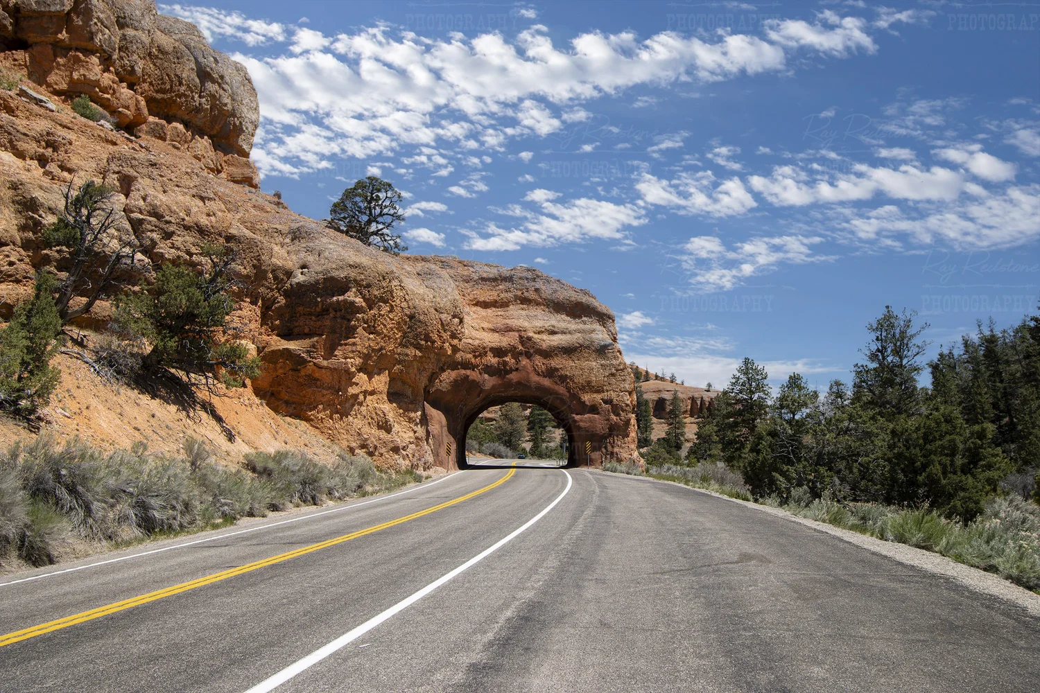 A real photograph of the red rock tunnel at Red Canyon in Utah with a road passing through the carved sandstone and pine forest above