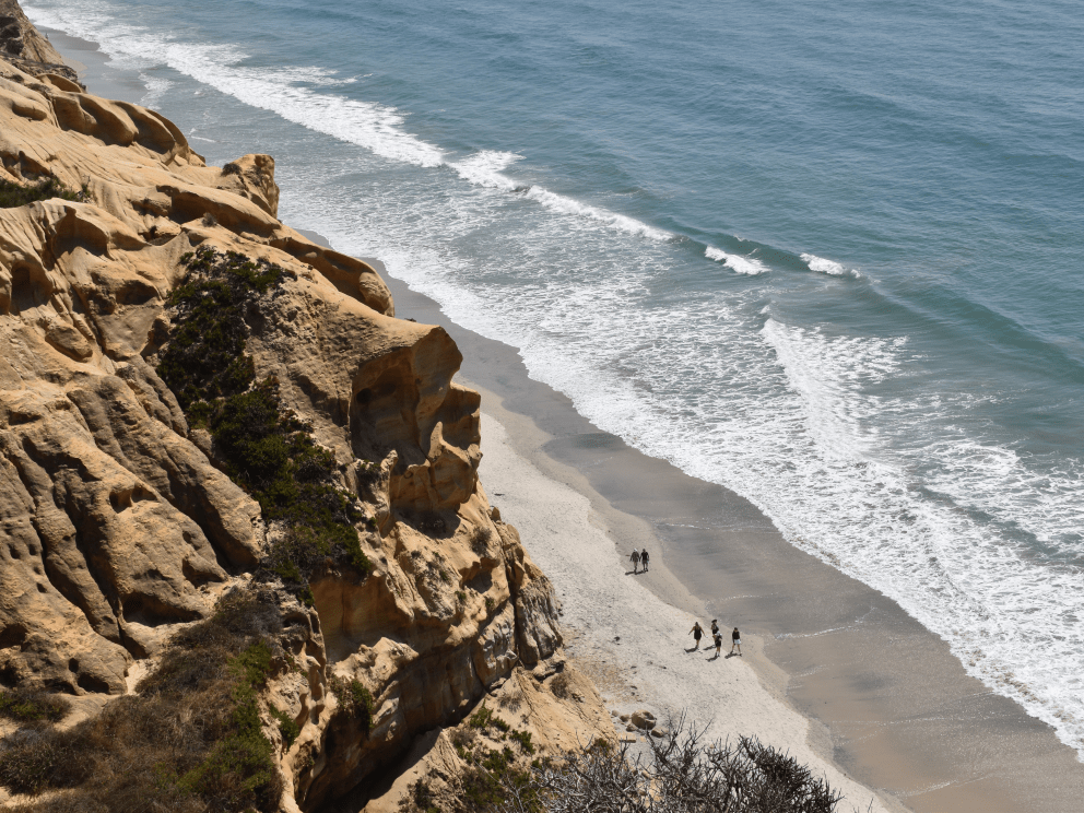 A real photograph of the sandy beach below the Torrey Pines cliffs during low tide with wet sand reflecting the sky and small waves rolling in
