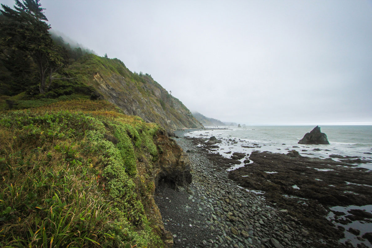 A real photograph on the Damnation Creek Trail with hikers descending through coastal forest toward a dramatic Pacific Ocean view under foggy skies
