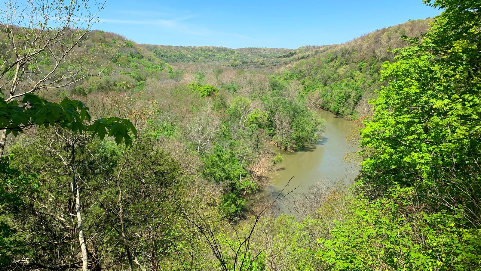A real photograph taken from a wooded bluff overlook in Mammoth Cave National Park, looking out over the Green River with layered treetops and soft afternoon light