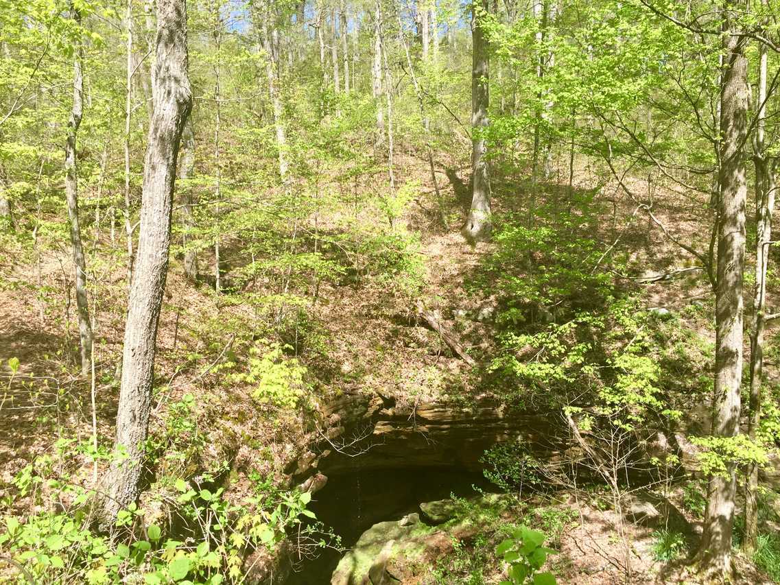 A shaded forest trail leading toward a large cave entrance with a viewing area at Sand Cave in Mammoth Cave National Park