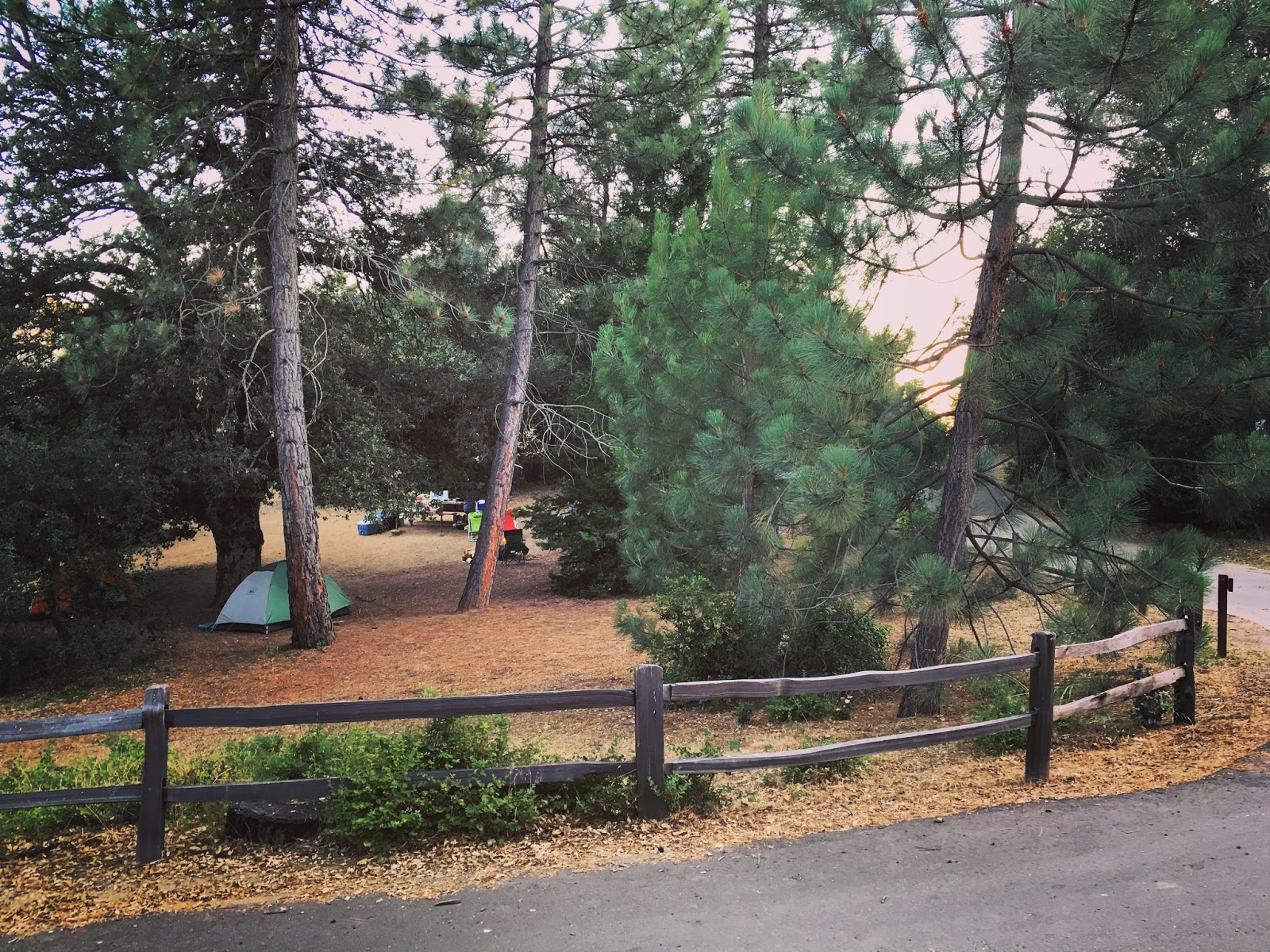 A simple morning setup at a Julian-area campsite with a picnic table, a cooler, and pine trees nearby