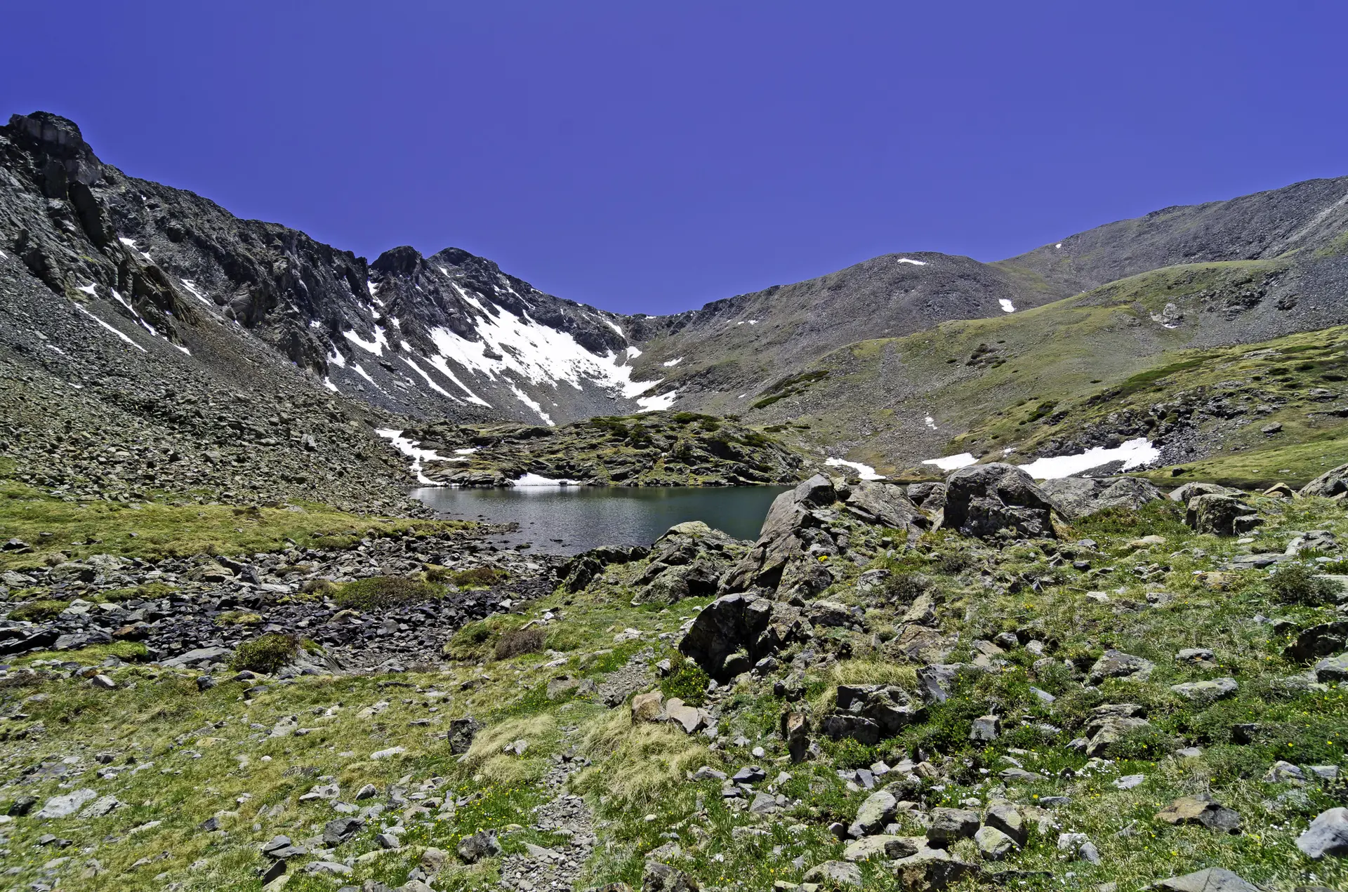 A small alpine lake in the Sangre de Cristo Mountains on a clear summer morning, with rocky peaks and patches of wildflowers near the shoreline, real landscape photo