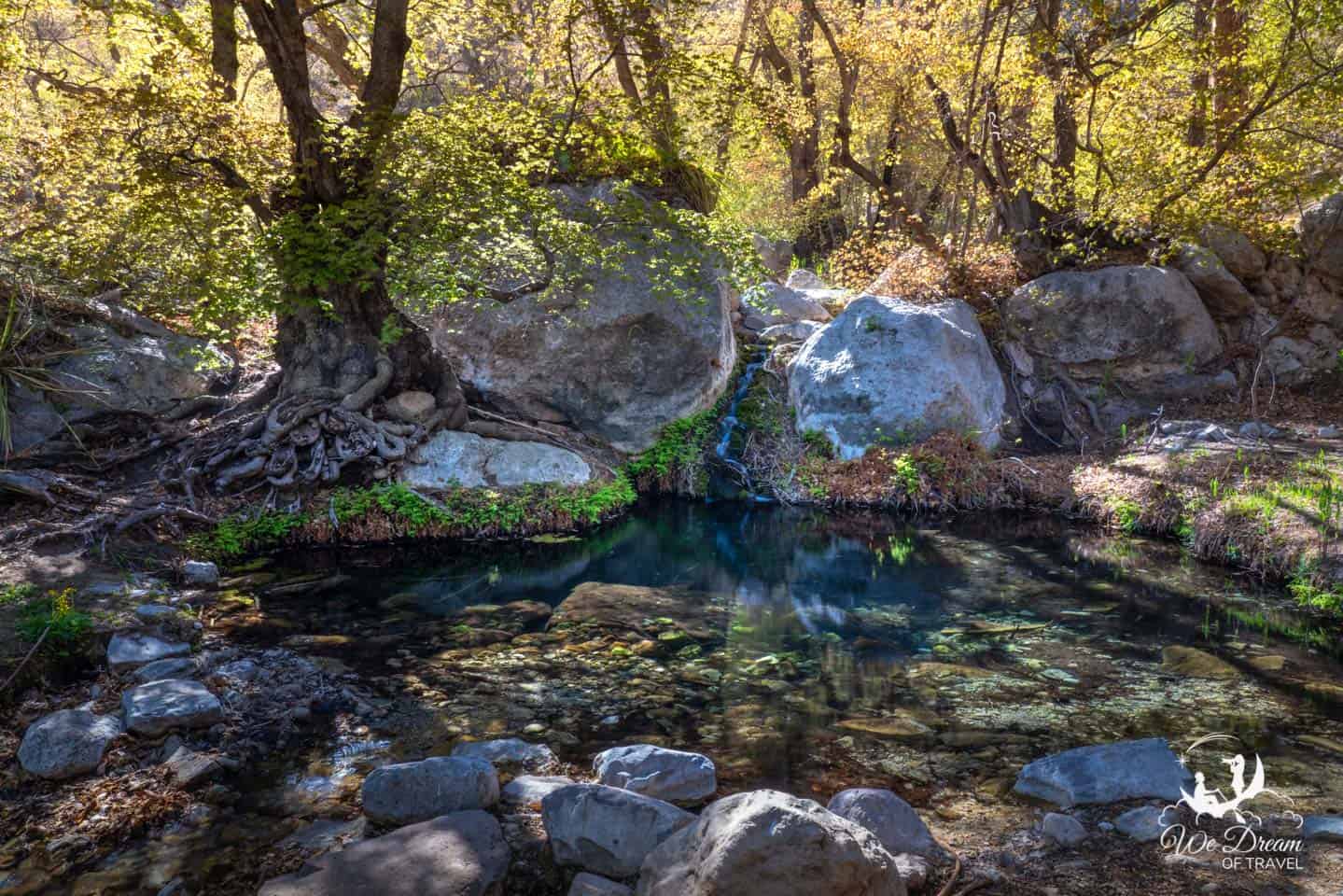 A small shaded spring area with green plants and a narrow trail bordered by rocky desert hills at Guadalupe Mountains National Park