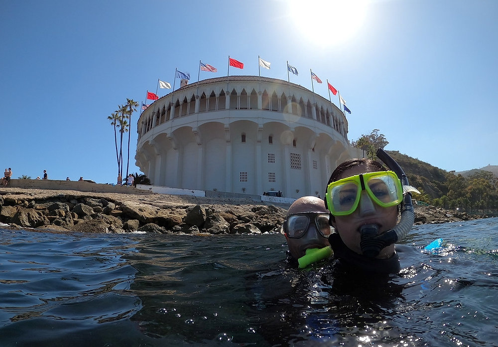 A snorkeler floating in clear blue water near Casino Point on Catalina Island with kelp visible below and rocky shoreline behind, real travel photo