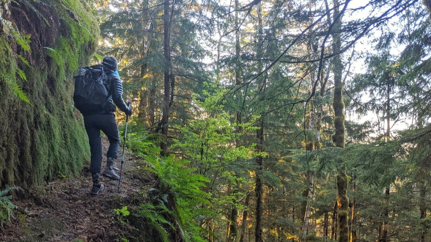 A solo hiker using trekking poles on a narrow forest trail with dense greenery on both sides, mid-day natural light, realistic outdoor photograph