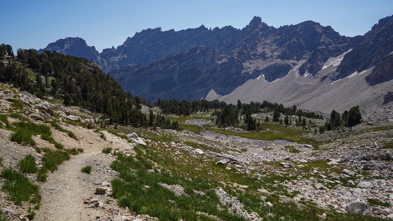 A steep alpine trail in Paintbrush Canyon with wildflowers along the path and jagged mountain ridges in the distance under a clear blue sky, real photo style