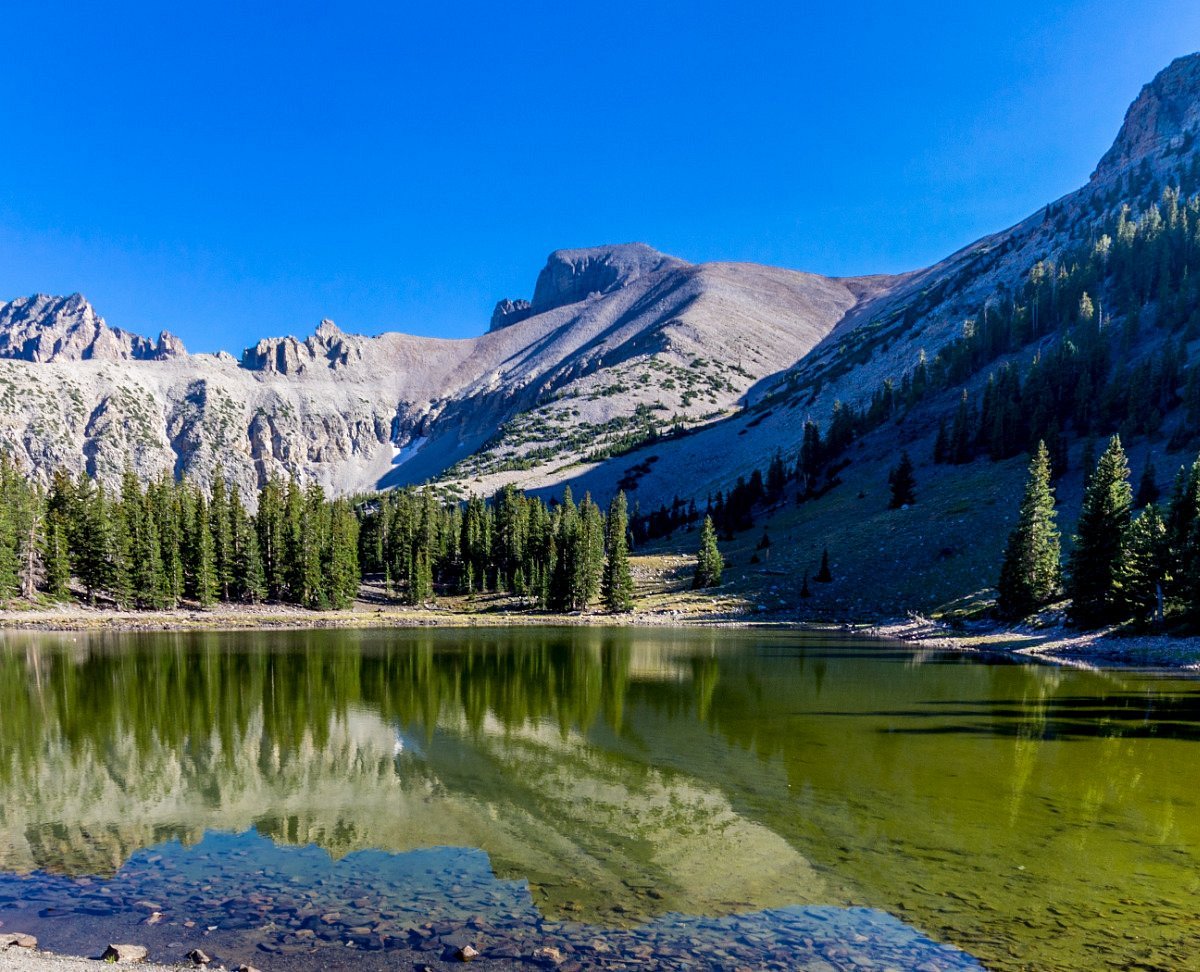 A still alpine lake in Great Basin National Park with clear reflections of surrounding granite slopes and scattered evergreen trees, late afternoon realistic photography