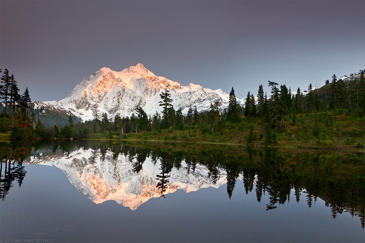 A summer photograph at Picture Lake showing Mount Shuksan reflected in calm water with alpine wildflowers in the foreground