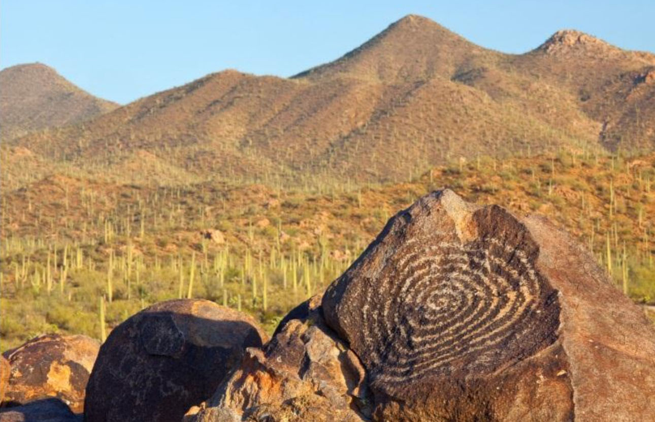 A sunlit boulder field at Signal Hill in Saguaro National Park with visible petroglyph carvings on dark desert varnish stone, saguaro cacti and low desert shrubs in the background, realistic travel photography