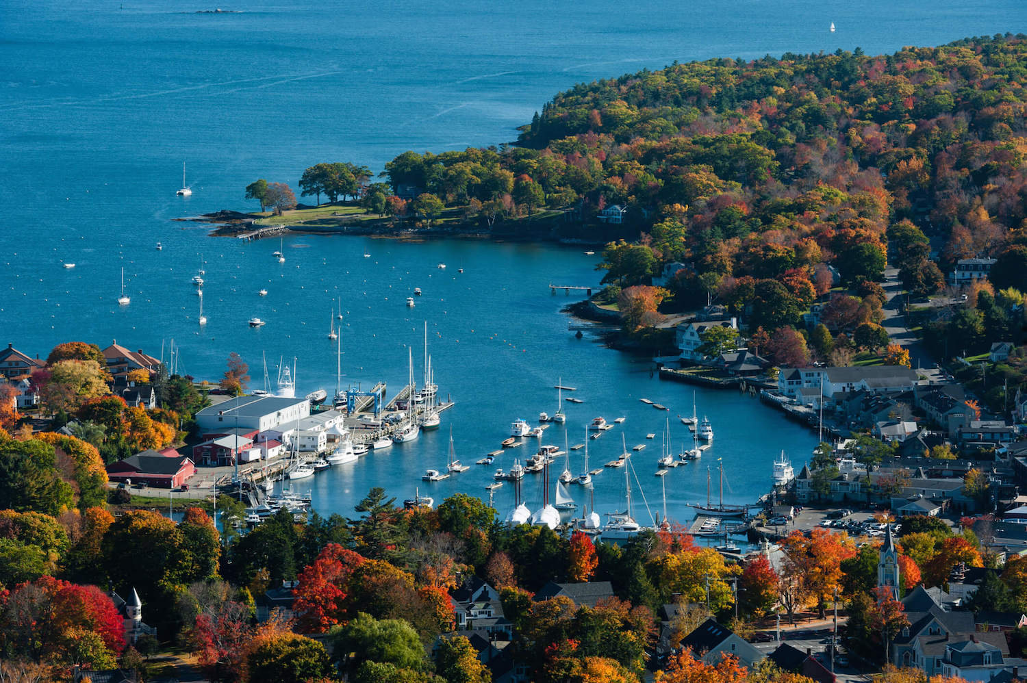 A view of Camden, Maine harbor with sailboats docked in calm water and a hillside covered in orange and red fall foliage rising behind the town, crisp midday light, photorealistic travel photography