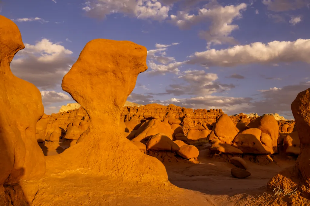 A wide-angle photograph of Goblin Valley State Park at golden hour, with dozens of rounded sandstone hoodoos casting long shadows across sandy washes and smooth slickrock