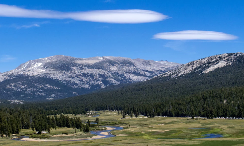 A wide summer photograph of Tuolumne Meadows in Yosemite National Park with green grass, winding river channels, granite domes in the distance, and scattered lodgepole pines under a bright blue sky