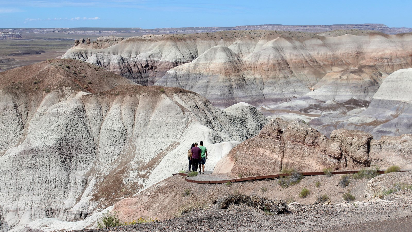 A winding trail descending into Blue Mesa badlands with blue-gray clay hills and striped layers under bright daylight