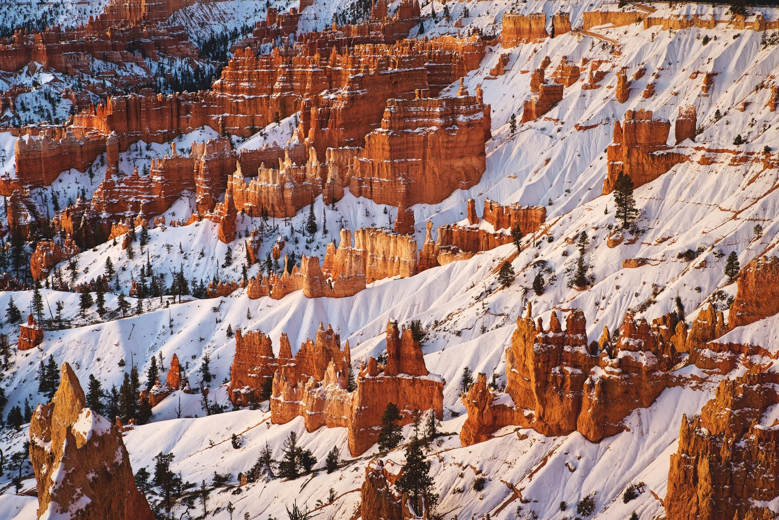 Bryce Canyon hoodoos covered in fresh snow with warm sunrise light illuminating the orange rock